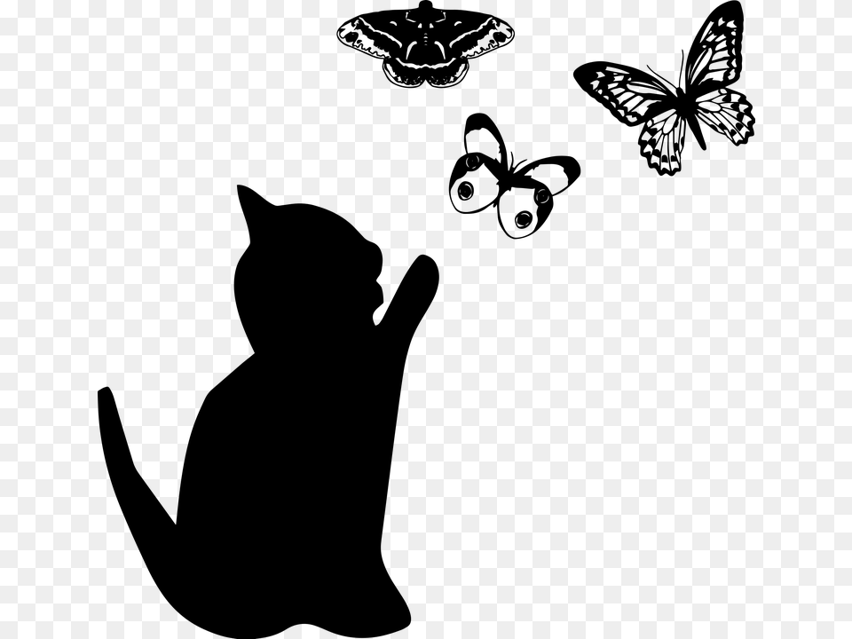 Cat Silhouette Butterfly, Gray Free Transparent Png