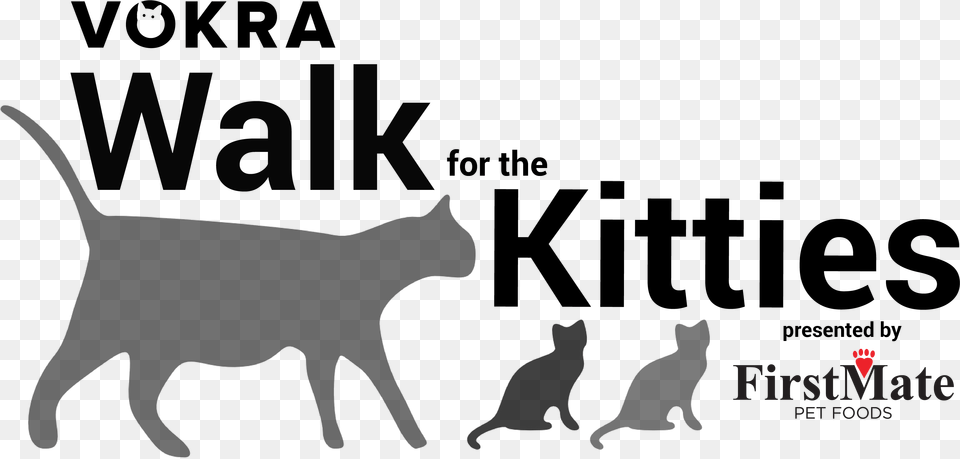 Transparent Cat Walking Black Cat, Silhouette, Animal, Mammal, Pet Free Png