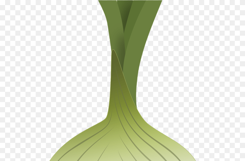 Transparent Cebolla Vase, Food, Produce, Leek, Plant Png Image