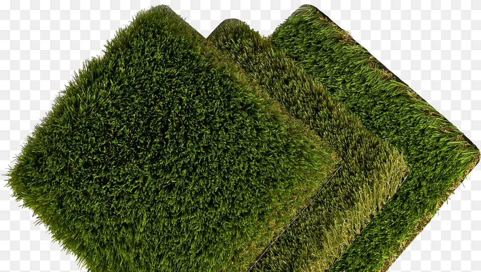 Transparent Cesped Lawn, Fence, Hedge, Moss, Plant Png