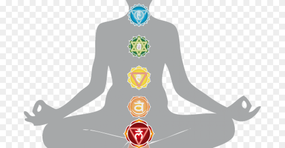 Transparent Chakras Third Chakra, Animal, Shark, Sea Life, Fish Png