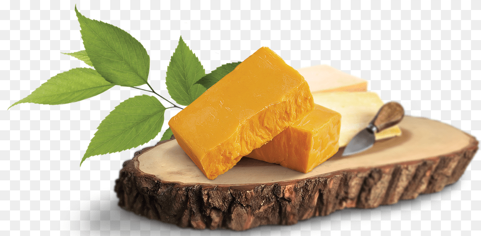 Transparent Cheese Clipart Transparent Transparent Cheese, Food, Bread Free Png