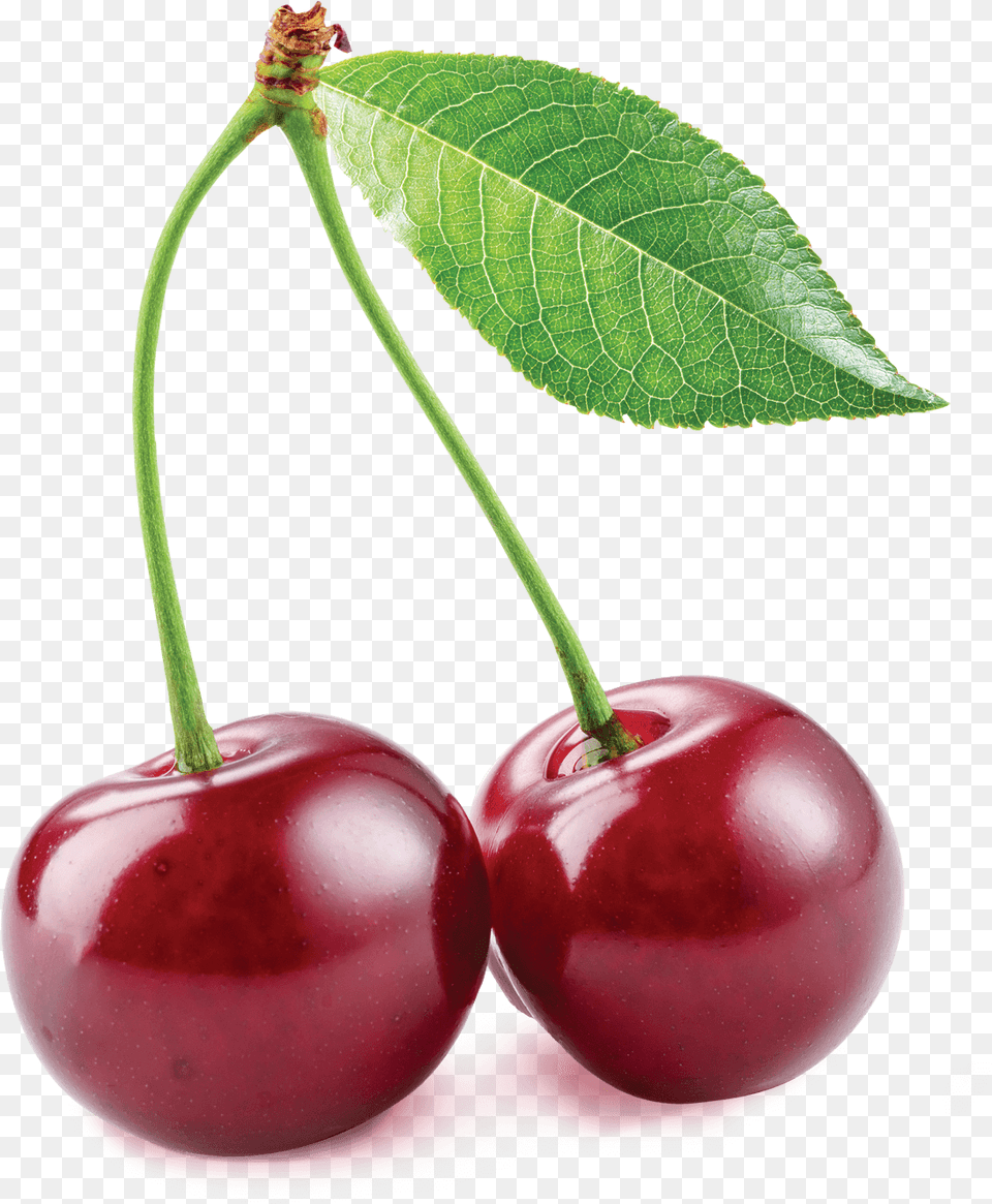 Transparent Cherries Clipart Sour Cherry, Food, Fruit, Plant, Produce Png Image