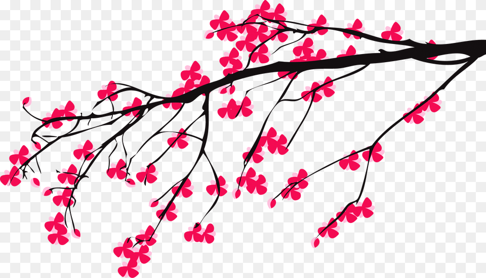 Transparent Cherry Blossom Branch Clipart Cherry Blossom Tree Draw, Flower, Plant, Cherry Blossom, Bow Png