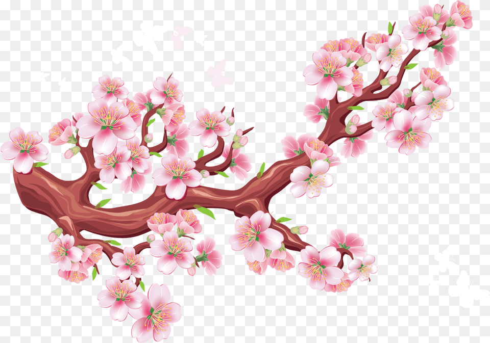 Transparent Cherry Blossom Branch Gambar Bunga Sakura Vector, Flower, Plant, Cherry Blossom Png Image