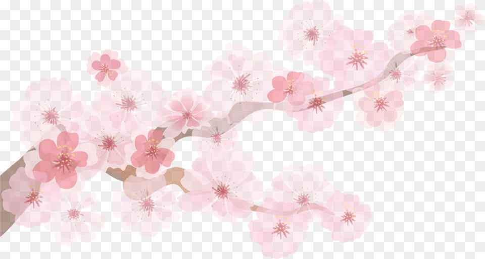 Transparent Cherry Blossom Emoji Cherry Blossom Paper Decoration, Cherry Blossom, Flower, Plant Png Image