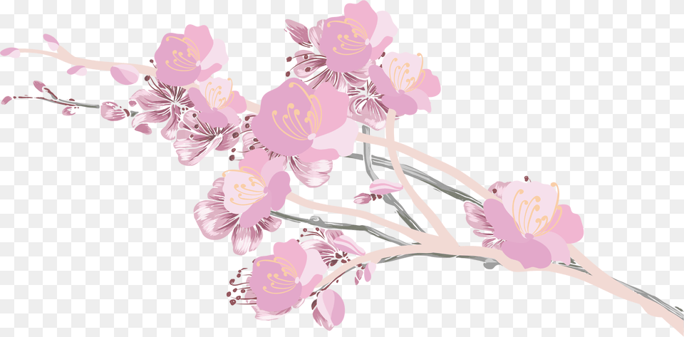 Transparent Cherry Blossom Petals Cherry Blossom Aesthetic Transparent, Flower, Plant, Cherry Blossom Free Png Download
