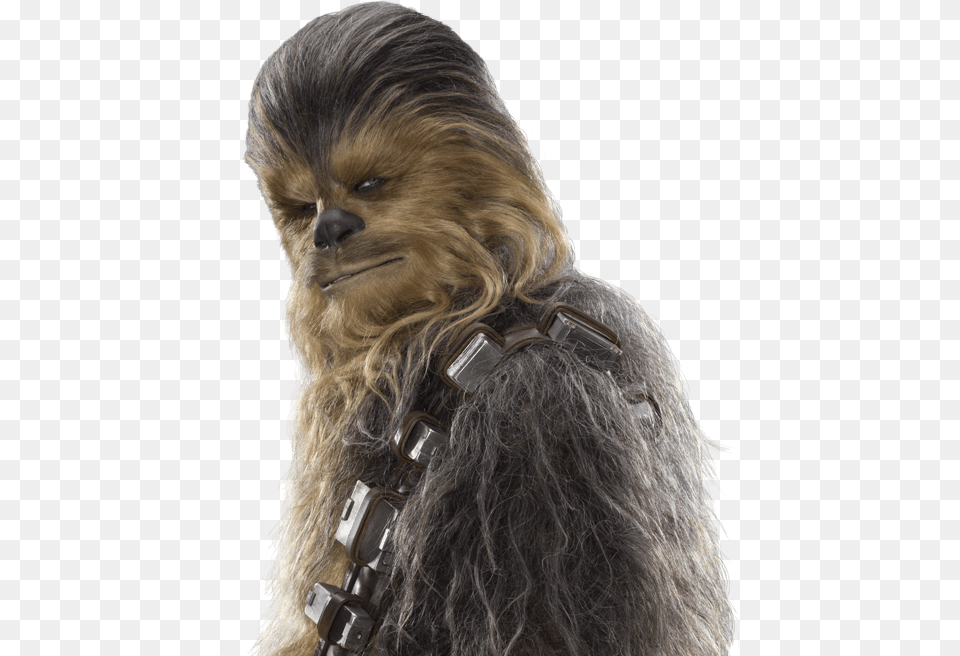 Transparent Chewbacca Happy Star Wars Day Wookie, Animal, Canine, Dog, Mammal Png