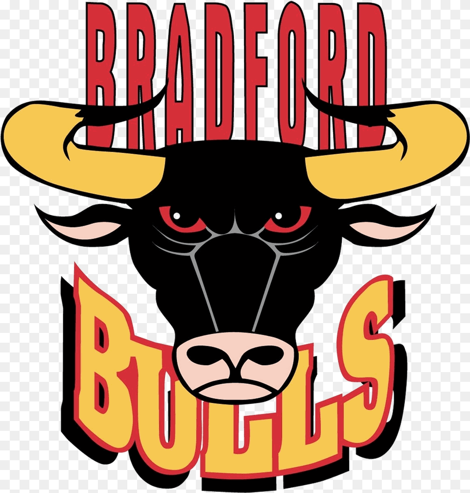 Transparent Chicago Bulls Clip Art Bradford Bulls Logo, Animal, Bull, Mammal, Person Png Image