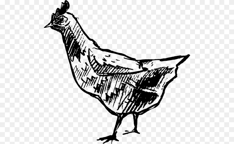 Chicken Clipart Black And White Phasianidae, Animal, Bird, Fowl, Hen Free Transparent Png