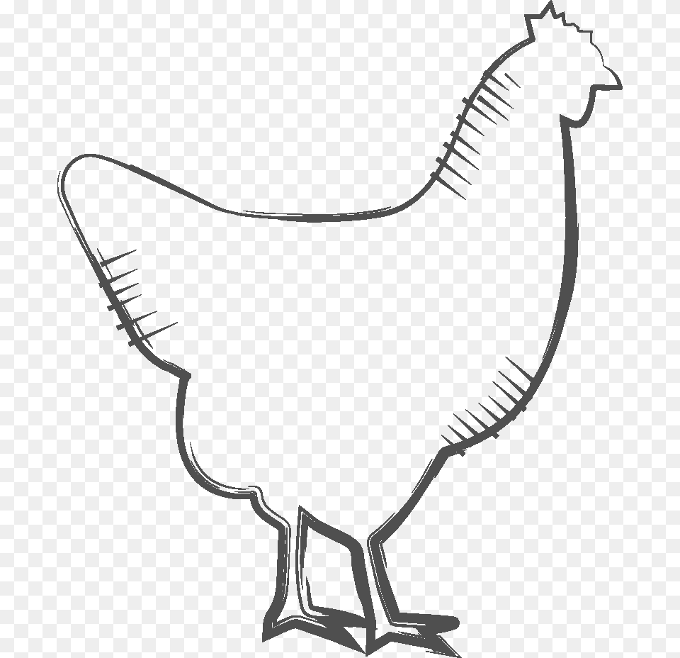 Chicken Drawing, Bow, Weapon, Art, Animal Free Transparent Png