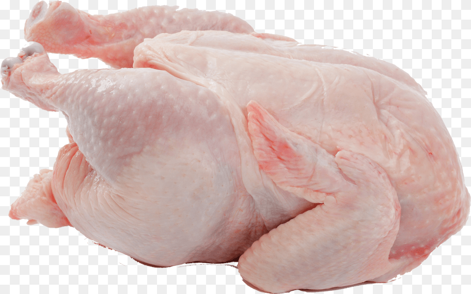 Transparent Chicken Transparent Chicken Meat, Animal, Bird, Fowl, Poultry Free Png Download