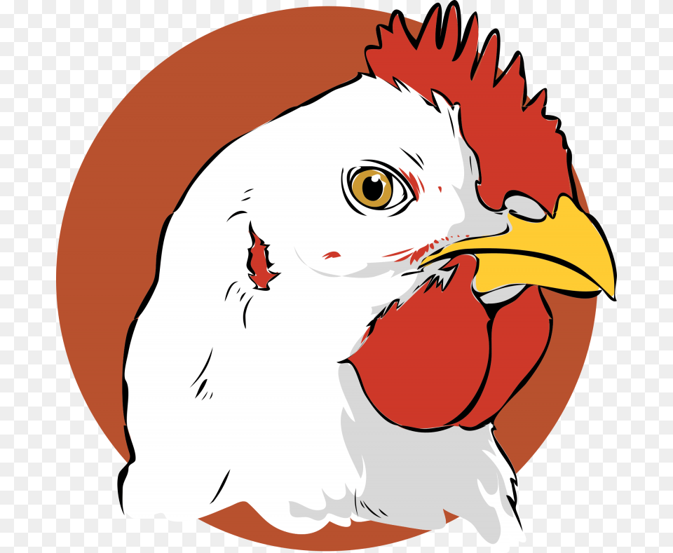 Chicken Vector Broiler Chicken Clipart, Animal, Beak, Bird, Baby Free Transparent Png