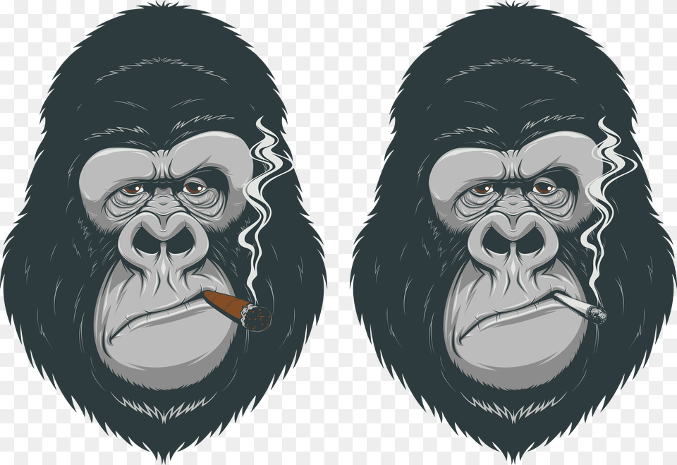 Transparent Chimpanzee Animasi Monkey, Animal, Ape, Mammal, Wildlife Free Png Download