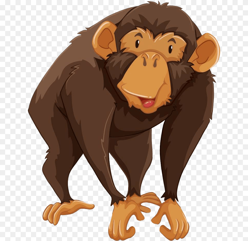 Chimpanzee Clipart Gibbon Monkey Cartoon, Adult, Person, Man, Male Free Transparent Png