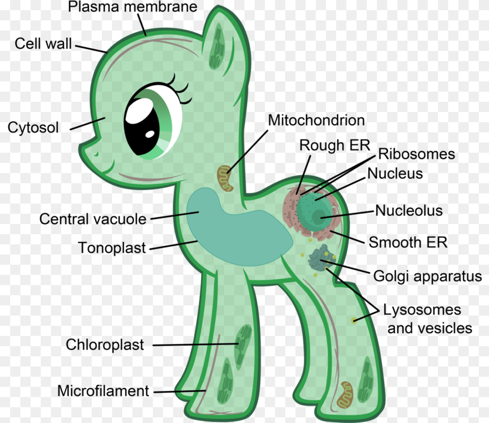 Chloroplast Eukaryotic Cells My Little Pony, Green, Alien Free Transparent Png