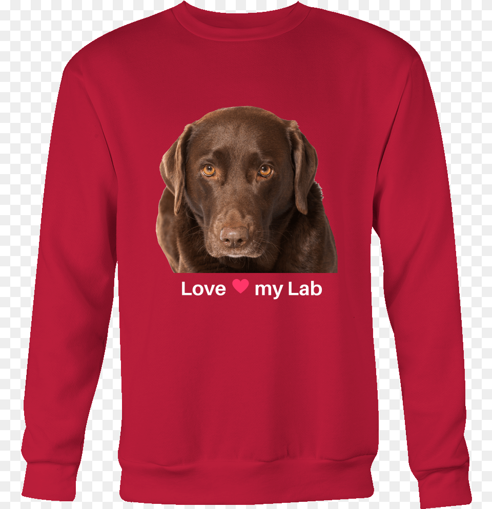 Transparent Chocolate Lab Labrador Retriever, Sweatshirt, Sweater, Sleeve, Long Sleeve Free Png Download