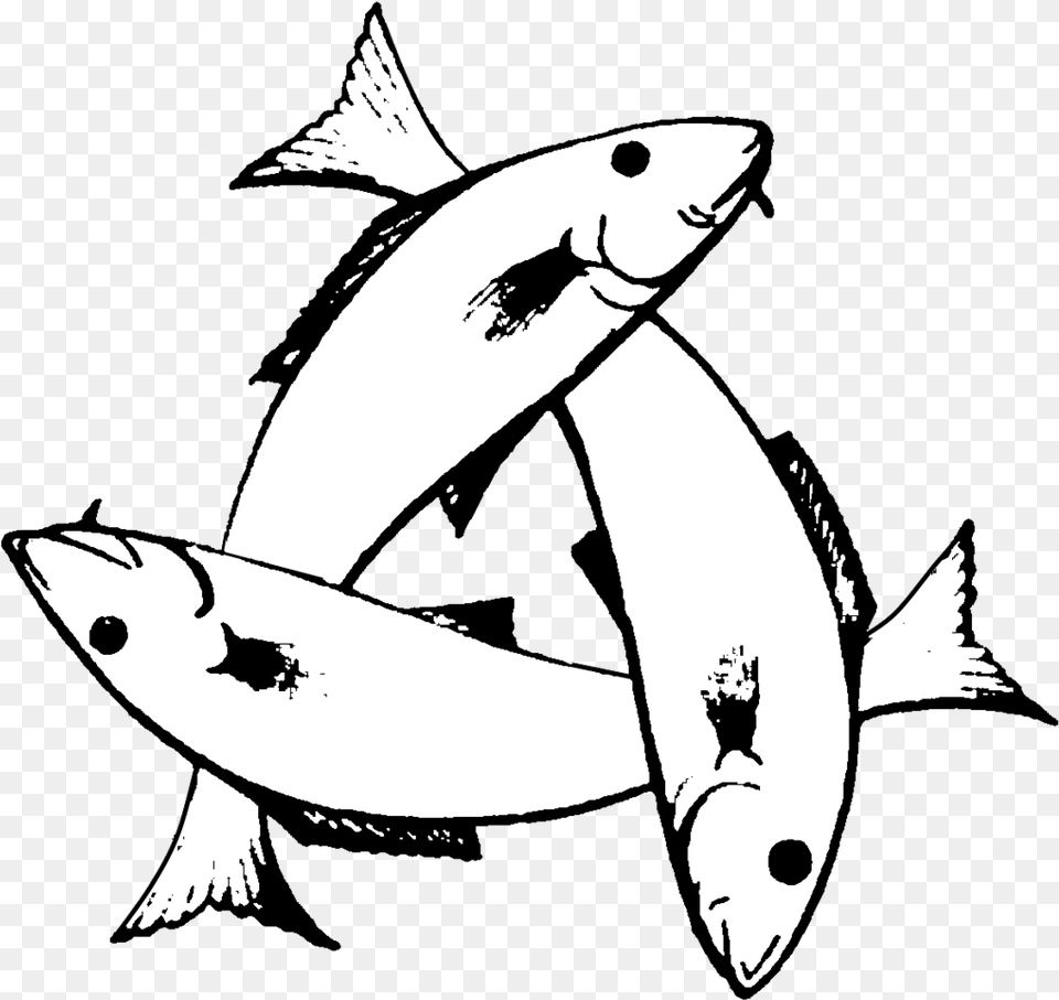 Transparent Christian Fish Clipart Three Fish Symbol Meaning, Aquatic, Water, Animal, Sea Life Png