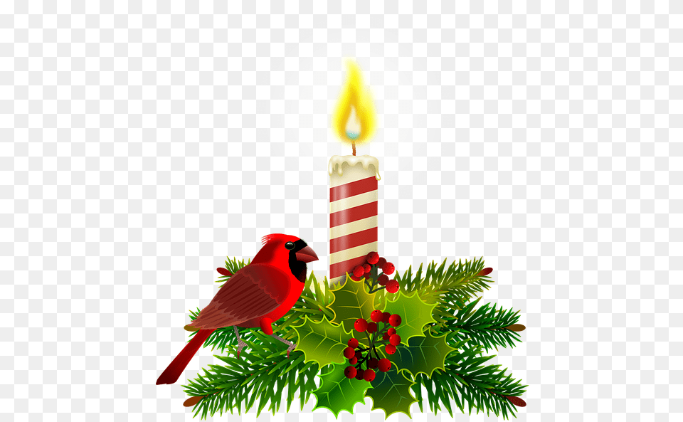 Christmas Candle Santa Nostalgia Christmas Postais De Natal, Animal, Bird, Cardinal Free Transparent Png
