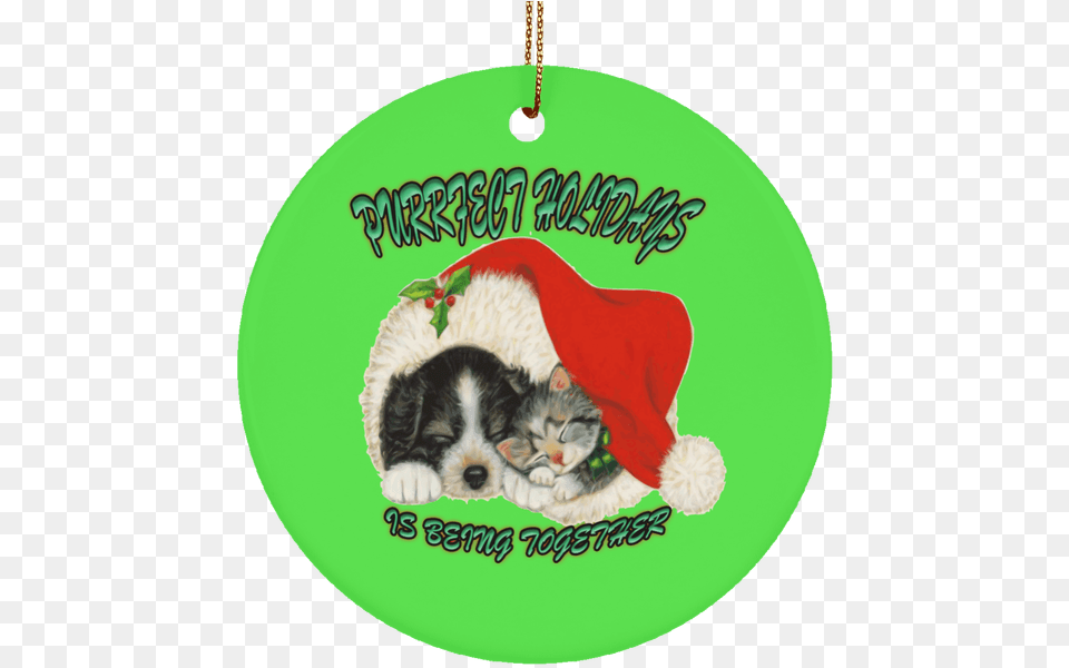 Christmas Cat Christmas Dogs And Cats, Animal, Kitten, Mammal, Pet Free Transparent Png
