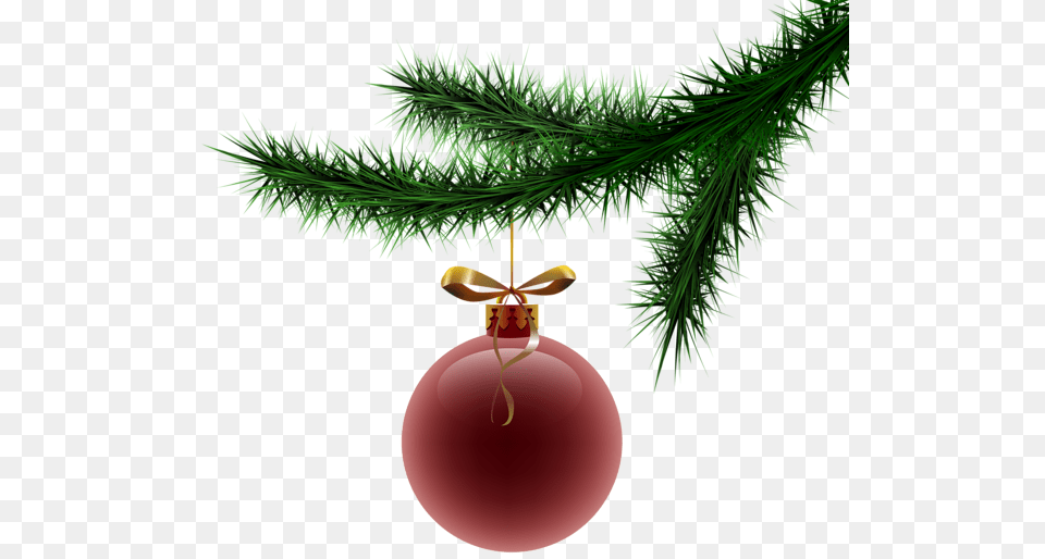 Transparent Christmas Christmas Tree Christmas Decoration Christmas Tree, Conifer, Plant, Fir, Accessories Png Image