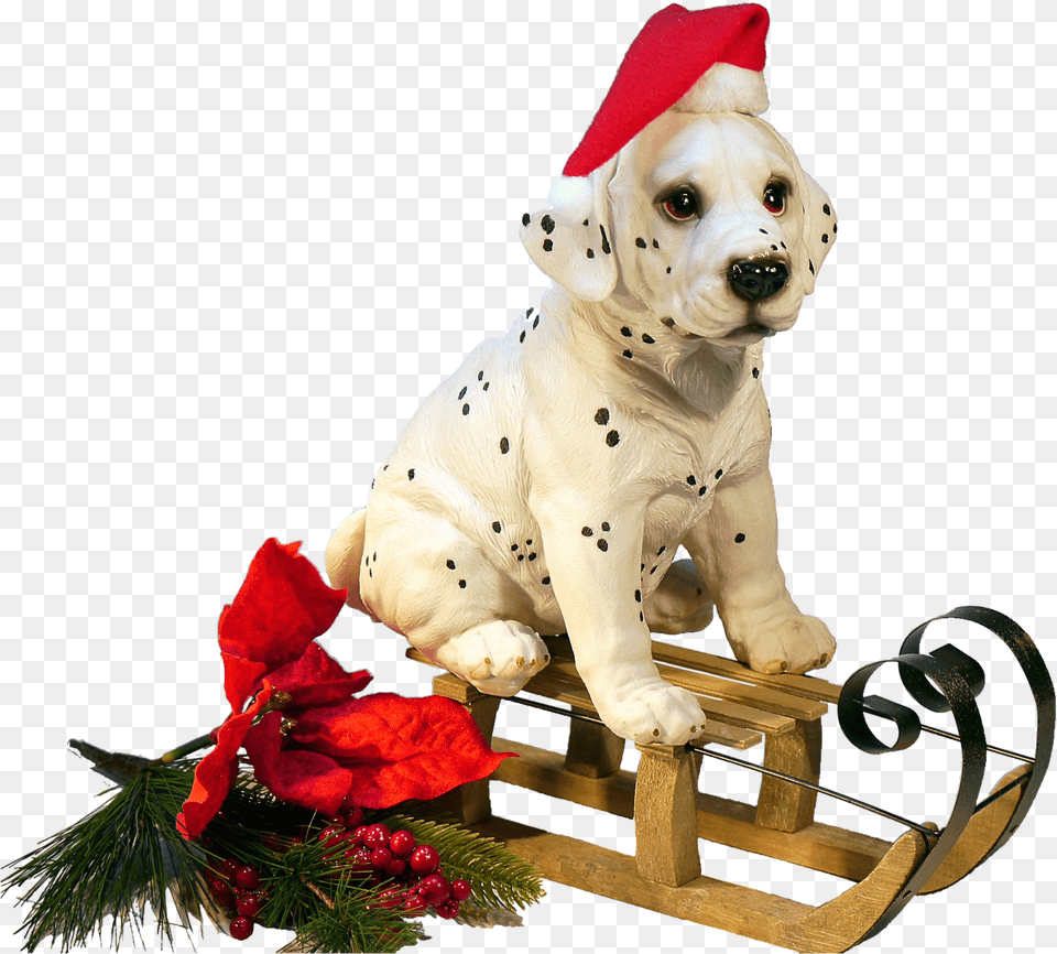 Transparent Christmas Dog Clipart, Flower, Flower Arrangement, Plant, Animal Png Image