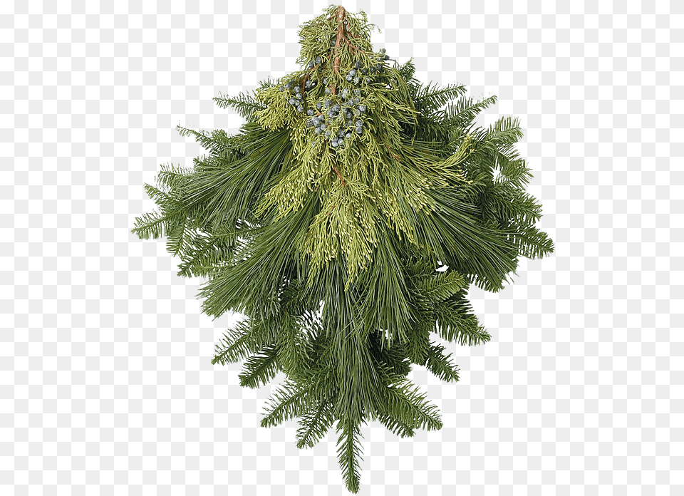 Transparent Christmas Greenery Christmas Greenery, Plant, Tree, Conifer, Chandelier Png Image