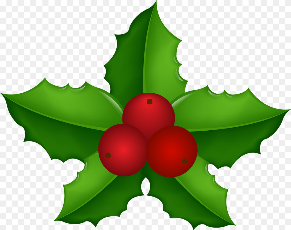 Transparent Christmas Mistletoe, Food, Fruit, Leaf, Plant Free Png Download