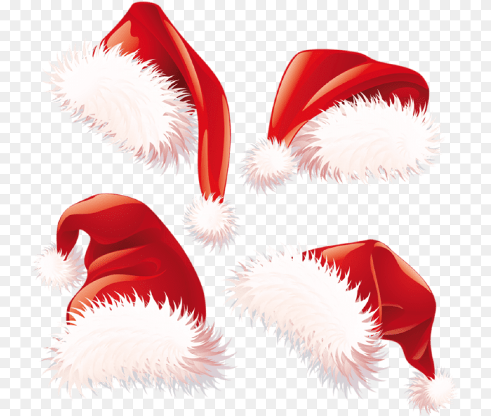 Christmas Santa Hats Images Christmas Hat Vector, Art, Accessories, Dish, Food Free Transparent Png