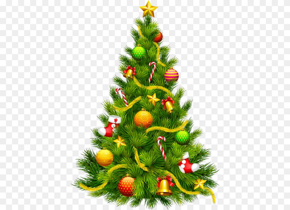 Transparent Christmas Tree, Plant, Christmas Decorations, Festival, Christmas Tree Free Png