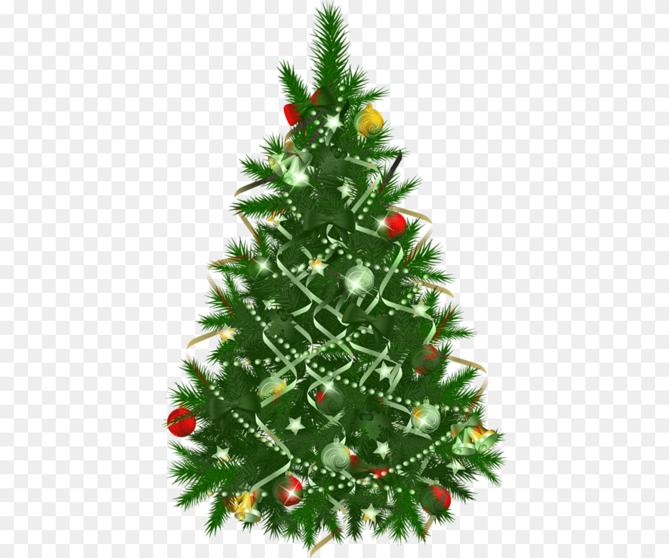 Transparent Christmas Tree Clipart Plant, Christmas Decorations, Festival, Christmas Tree Free Png Download