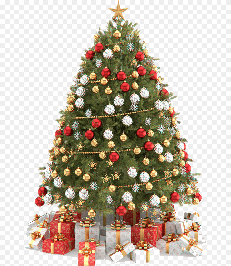 Transparent Christmas Tree Clipart Transparent Christmas Tree, Plant, Christmas Decorations, Festival, Christmas Tree Free Png