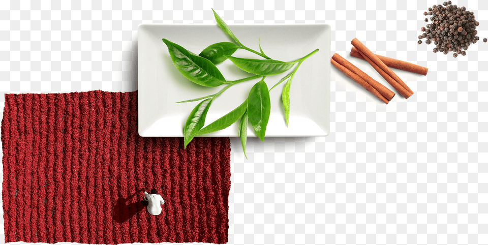 Transparent Cinnamon Stick Bird39s Eye Chili, Herbal, Herbs, Leaf, Plant Png Image
