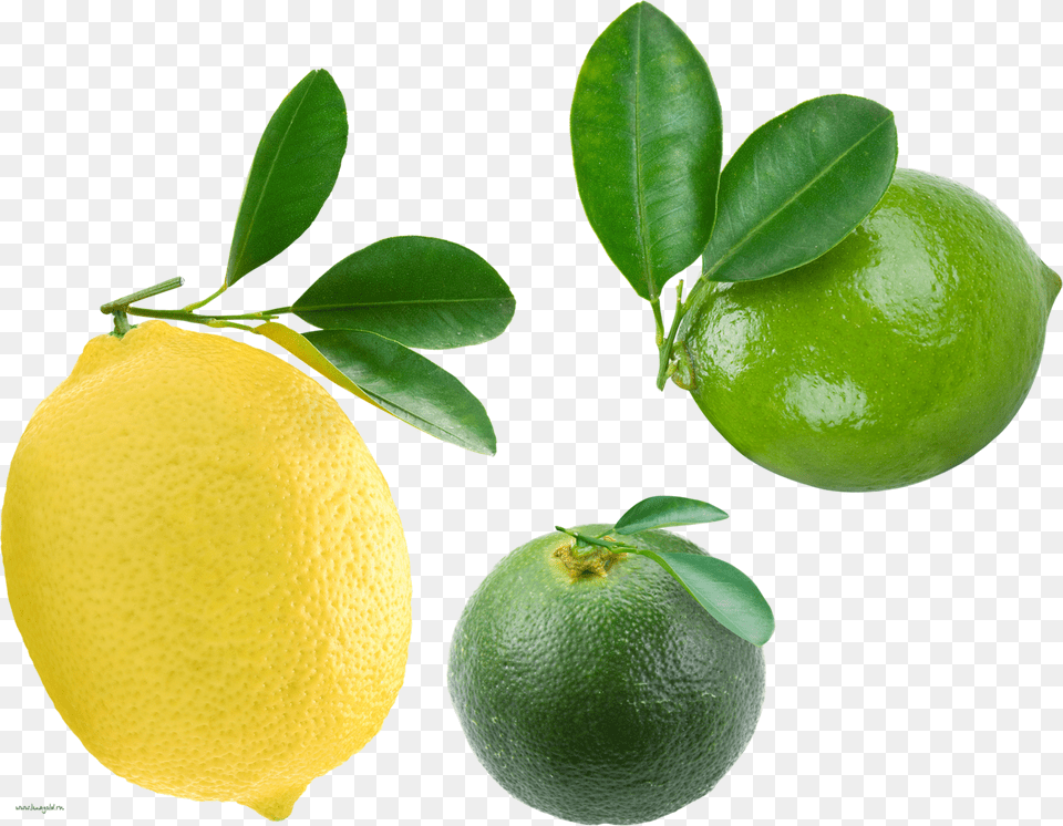Citrus Clipart, Citrus Fruit, Food, Fruit, Lemon Free Transparent Png