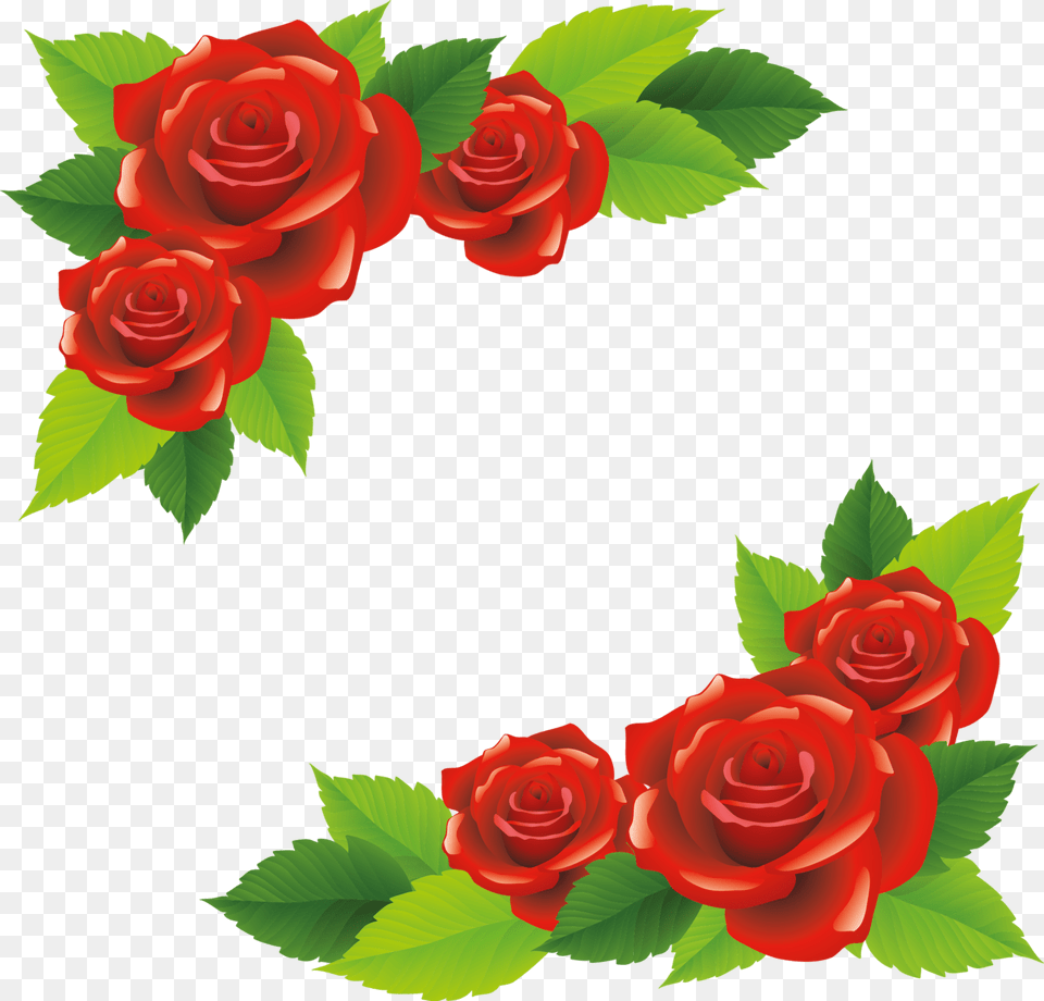 Transparent Climbing Roses Clipart, Flower, Plant, Rose, Art Png