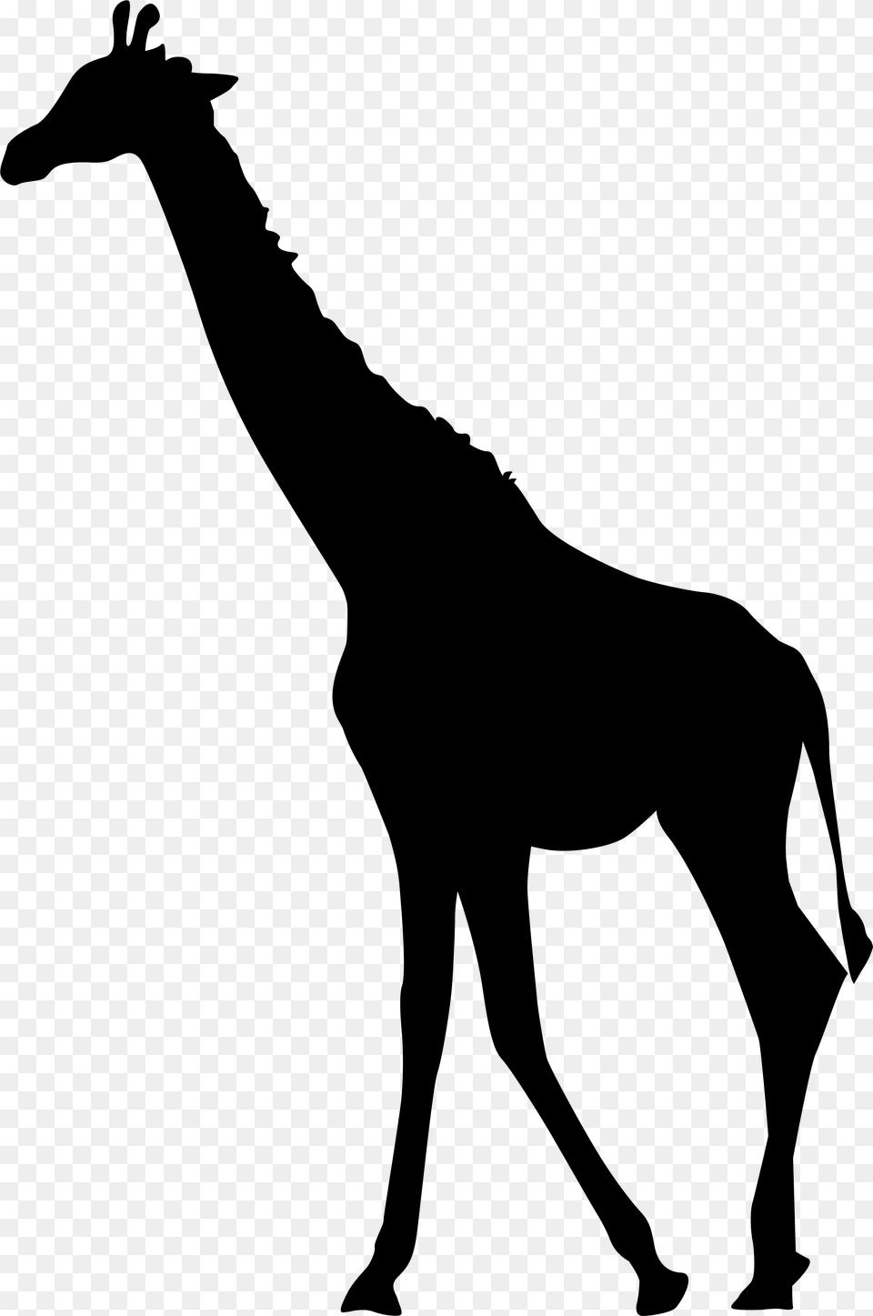 Transparent Clip Art Image Giraffe Silhouette, Lighting Free Png Download