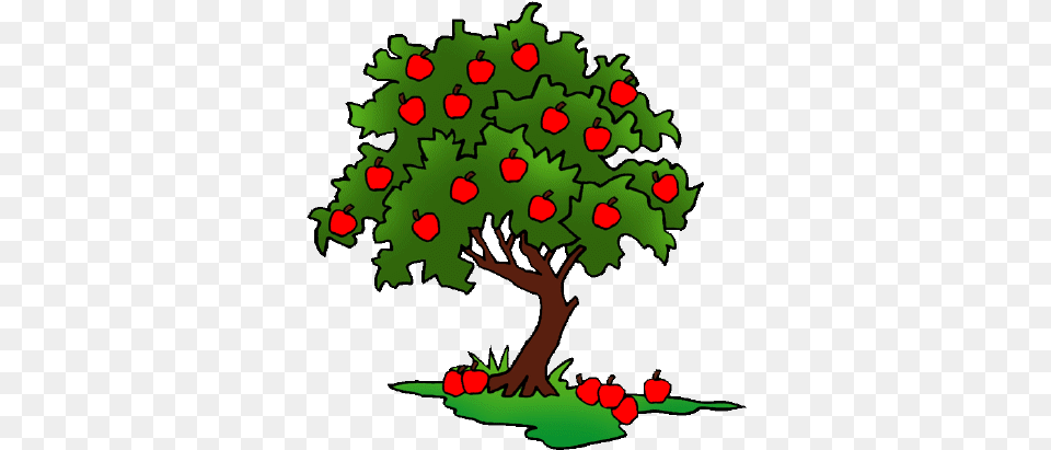 Clipart Apple Tree Drawing Realistic Apple Tree, Plant, Potted Plant, Conifer, Vegetation Free Transparent Png