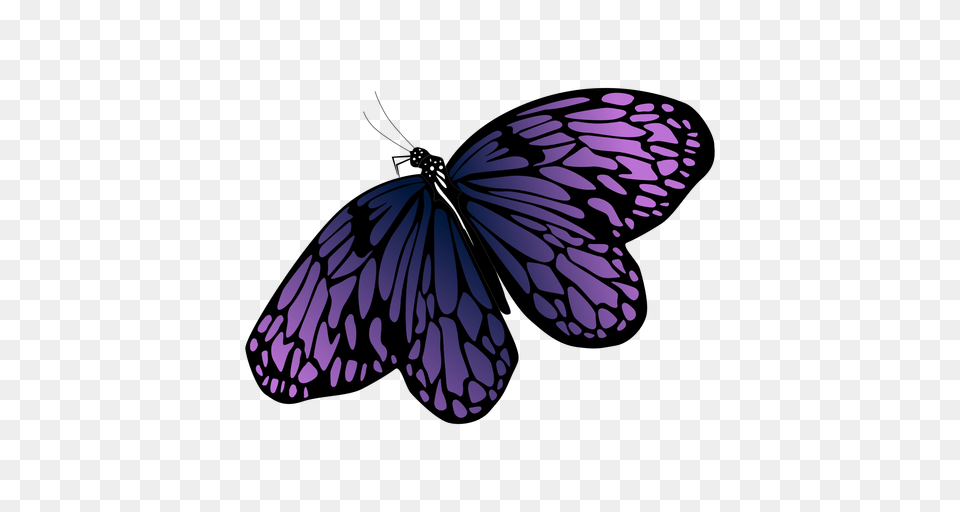 Transparent Clipart Butterfly Design Pictures, Purple, Animal, Insect, Invertebrate Png