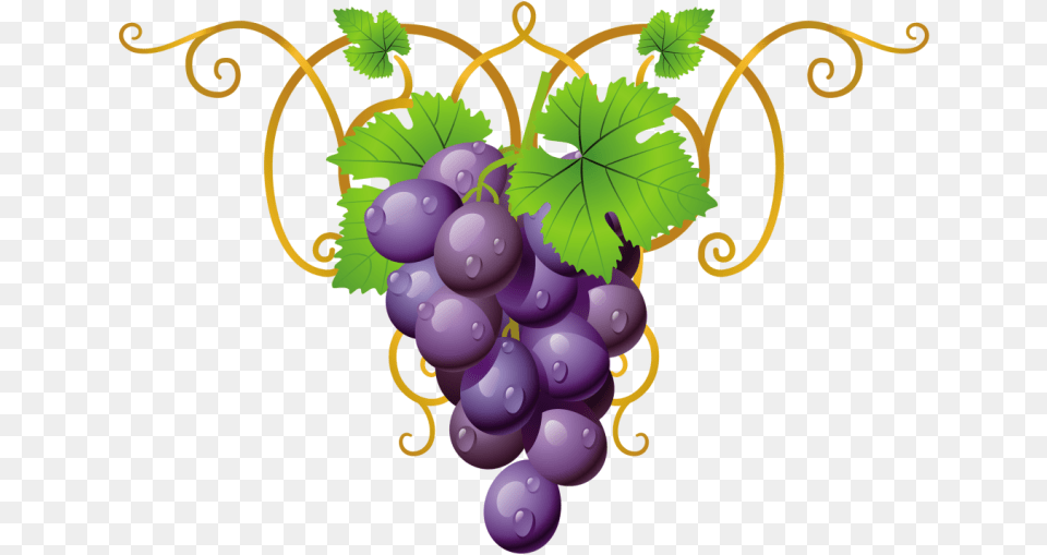 Transparent Clipart Grape Vine Grapes Clipart, Food, Fruit, Plant, Produce Png Image