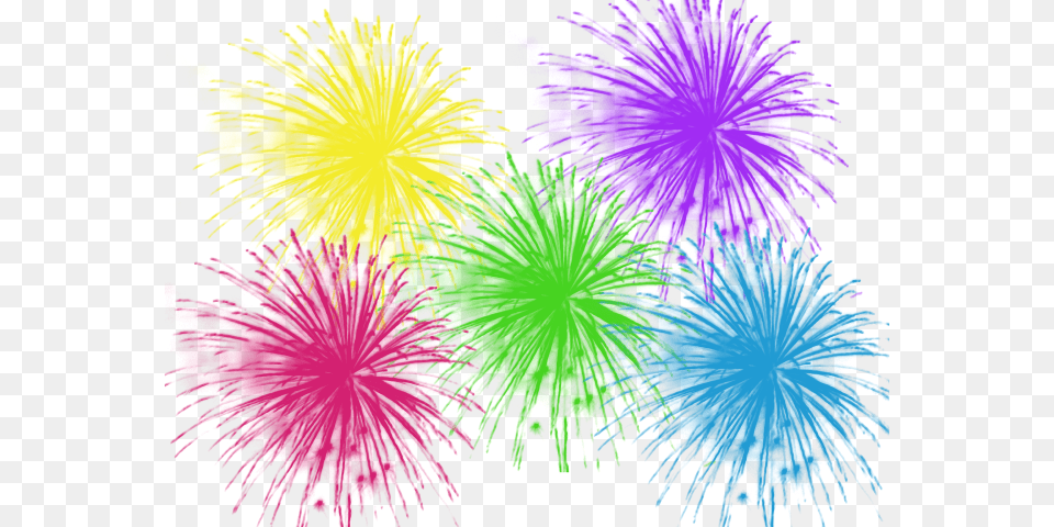 Transparent Clipart Image Different Colour Fireworks Celebration Party Clip Art, Graphics, Purple, Dye, Person Free Png