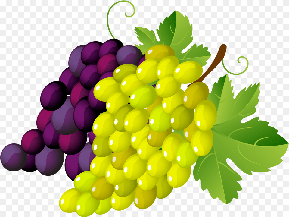 Transparent Clipart Grapes Clipart Green Grapes Clipart Transparent Background, Food, Fruit, Plant, Produce Png Image