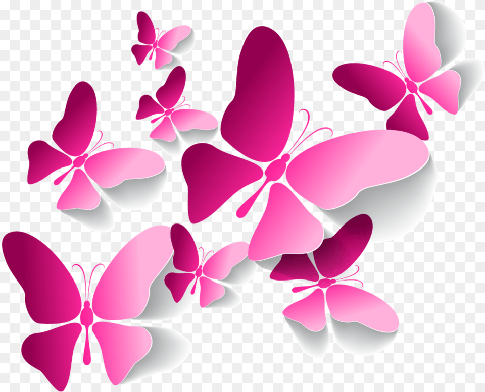 Transparent Clipart Of Butterflies Clipart Butterfly Pink Transparent, Flower, Orchid, Petal, Plant Free Png