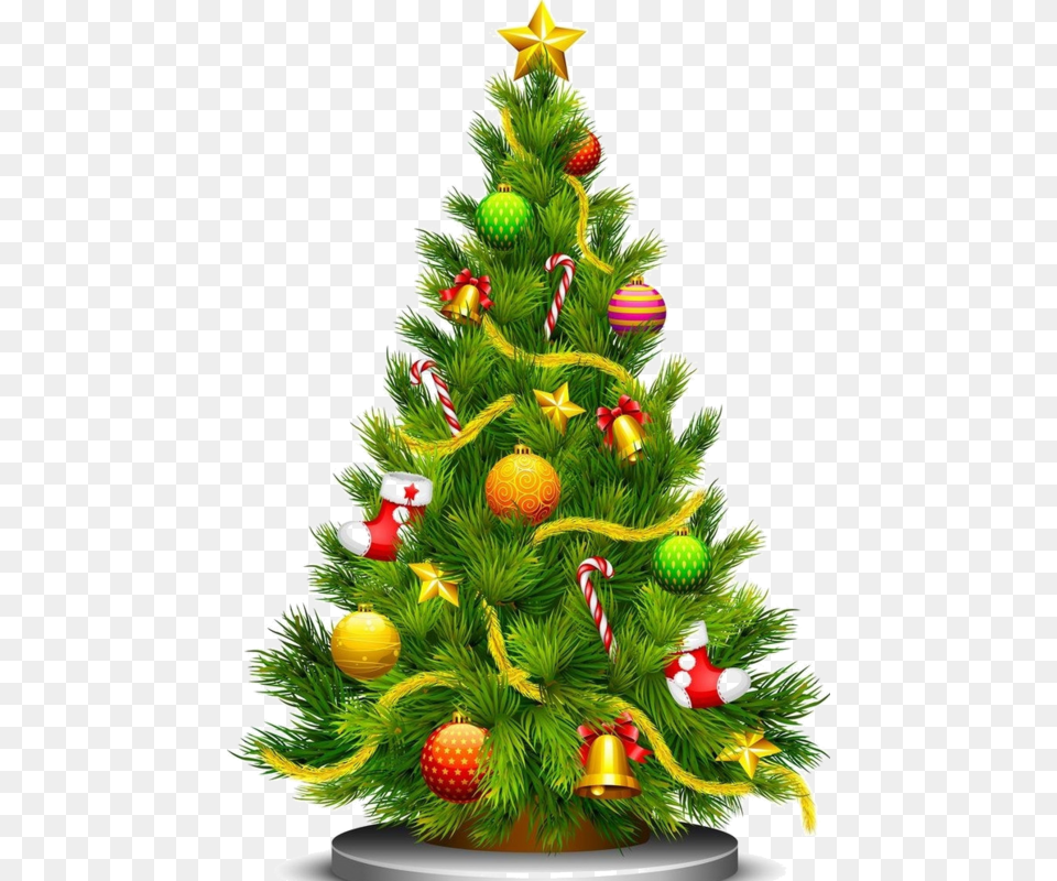 Transparent Clipart Of Christmas Tree, Plant, Christmas Decorations, Festival, Christmas Tree Free Png Download