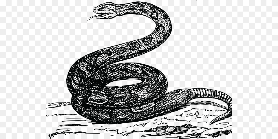 Transparent Clipart Of Snake Snek Meme Tread On Me, Animal Png