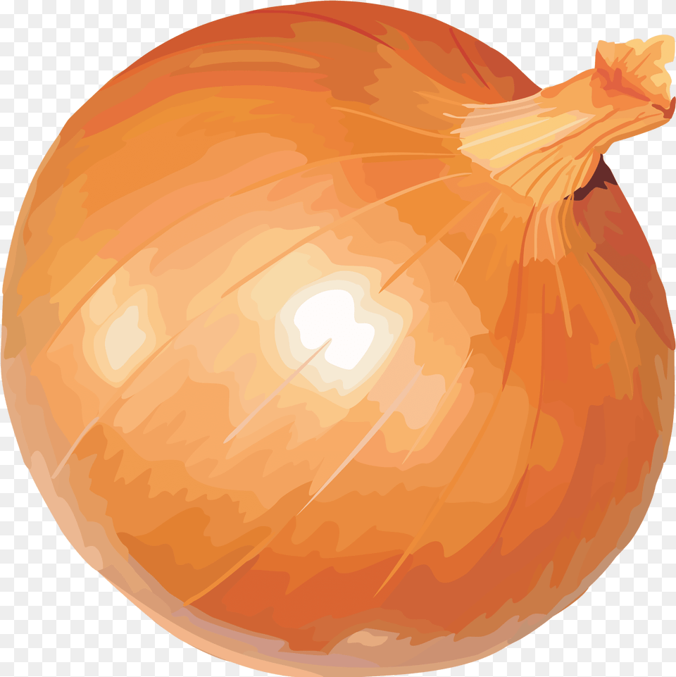 Transparent Clipart Onion Vegetable, Food, Produce, Plant, Shallot Free Png Download