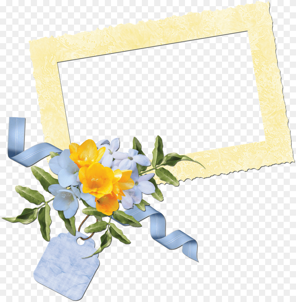 Transparent Cluster Frames Evergreen Rose, Flower, Flower Arrangement, Flower Bouquet, Plant Free Png