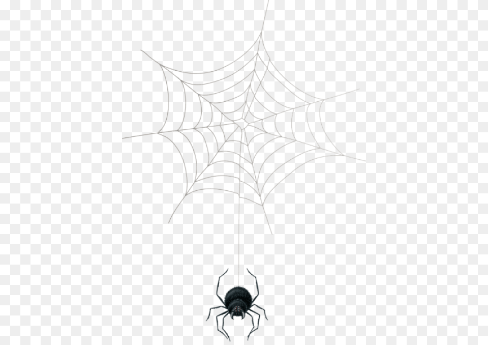 Transparent Cobweb Clipart Spider Web, Animal, Invertebrate, Spider Web, Person Png