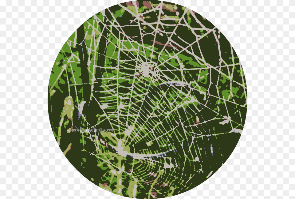 Cobwebs Spider Web, Spider Web Free Transparent Png