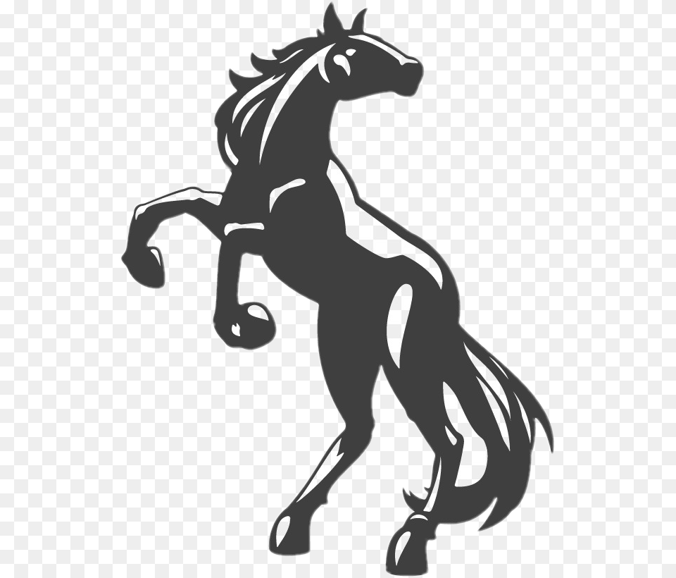 Transparent Cocain Horse Vector, Stencil, Animal, Colt Horse, Mammal Png Image