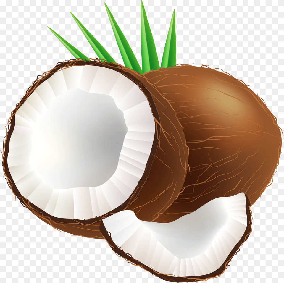 Transparent Coconut Bra Clip Art Of Coconut Free Png